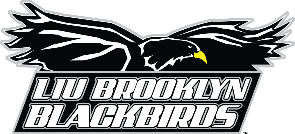 LIU-Brooklyn Blackbirds 2008-Pres Primary Logo iron on transfers for T-shirts